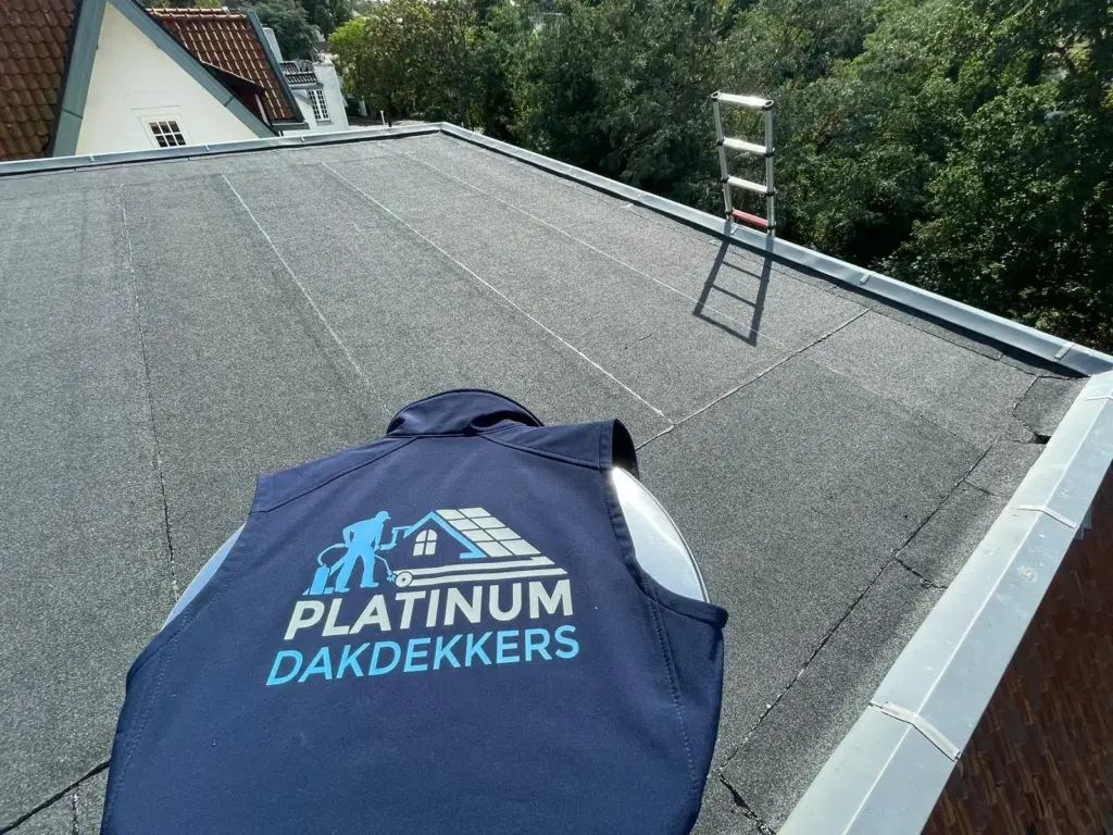 Portfolio afbeelding