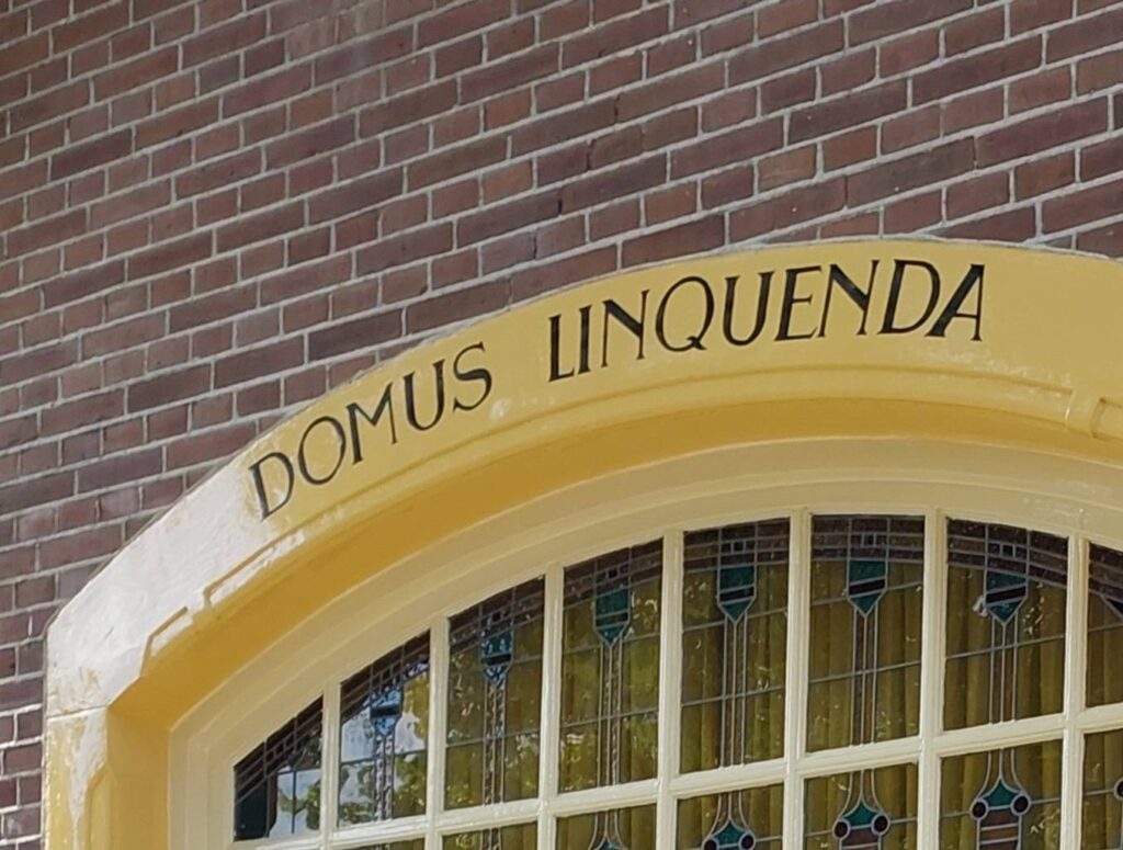 Portfolio afbeelding