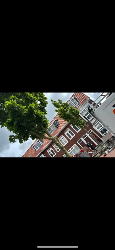 Portfolio afbeelding