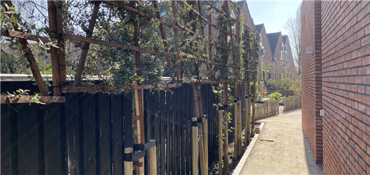 Portfolio afbeelding