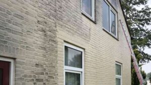 Portfolio afbeelding