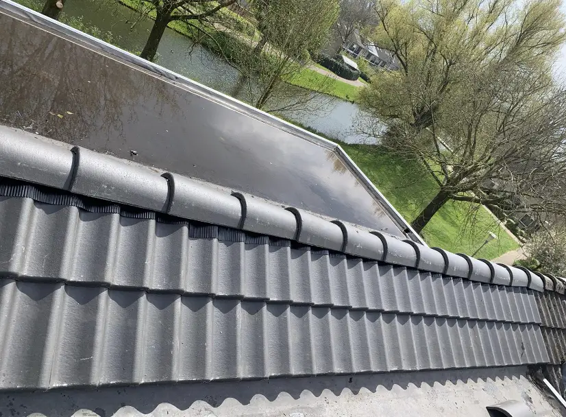 Portfolio afbeelding