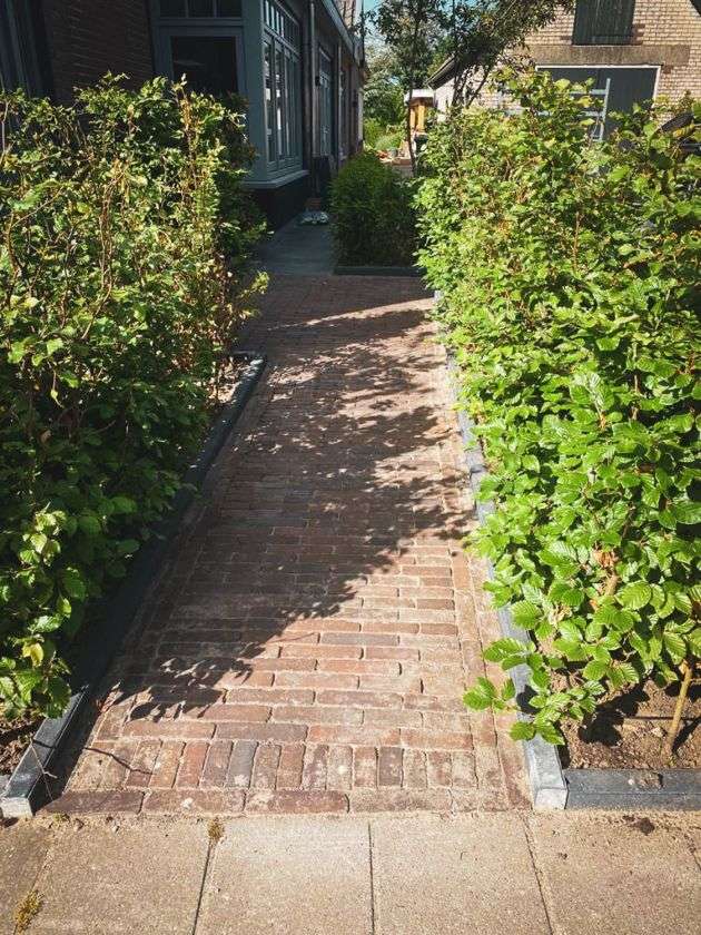 Portfolio afbeelding