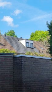 Portfolio afbeelding