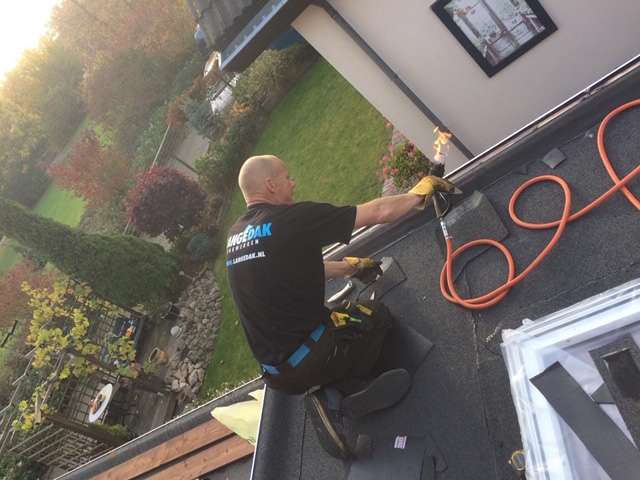 Portfolio afbeelding