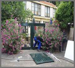 Portfolio afbeelding