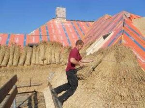 Portfolio afbeelding