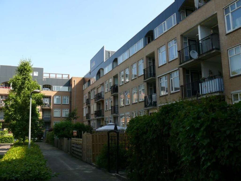 Portfolio afbeelding