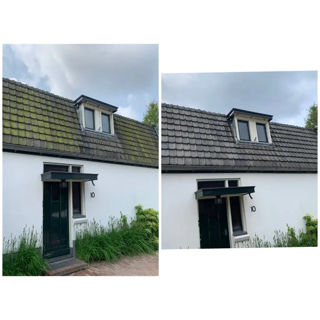 Portfolio afbeelding