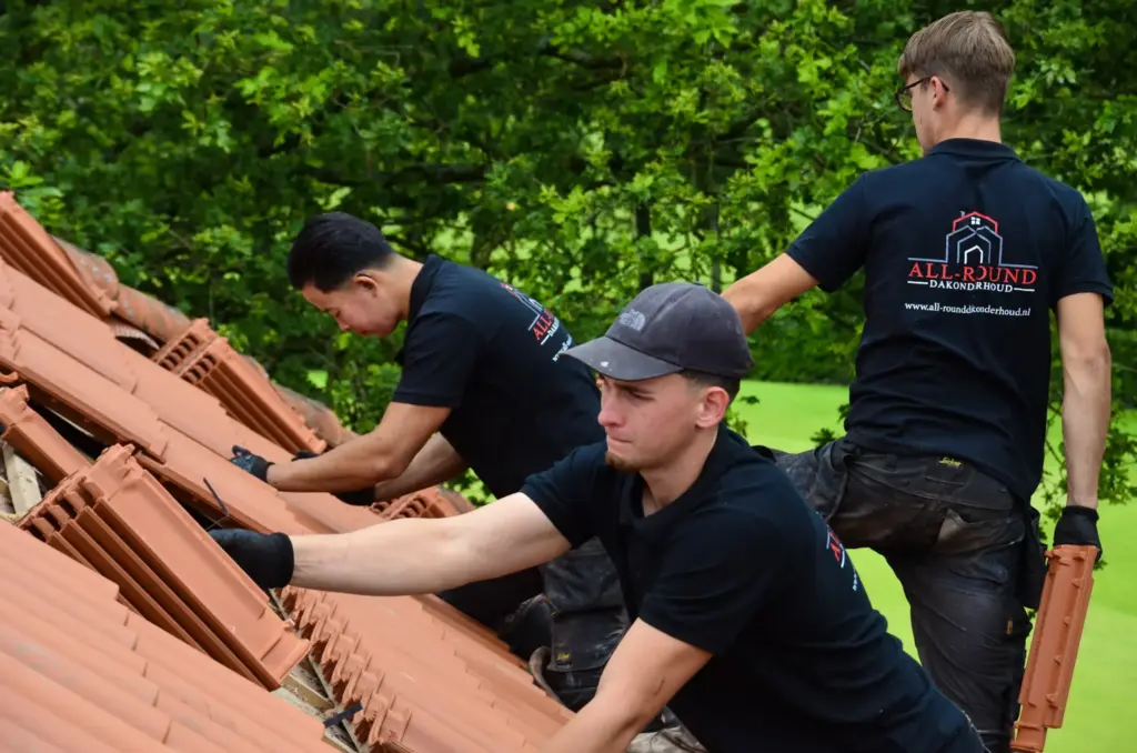 Portfolio afbeelding