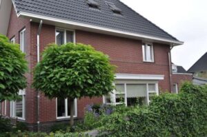 Portfolio afbeelding