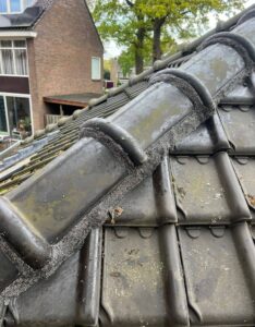 Portfolio afbeelding