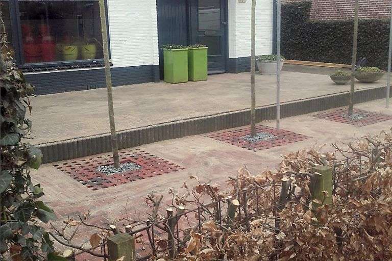 Portfolio afbeelding