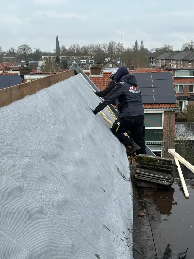 Portfolio afbeelding