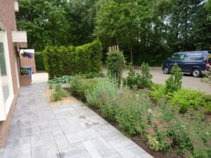 Portfolio afbeelding