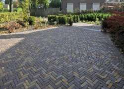 Portfolio afbeelding