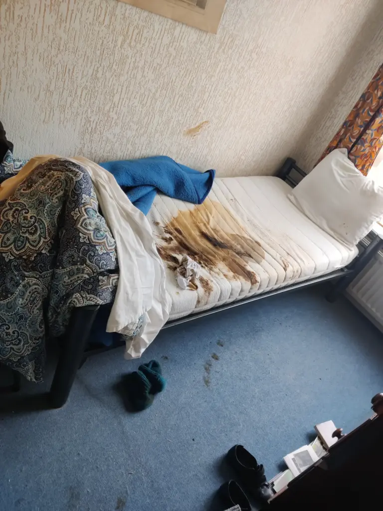 Portfolio afbeelding