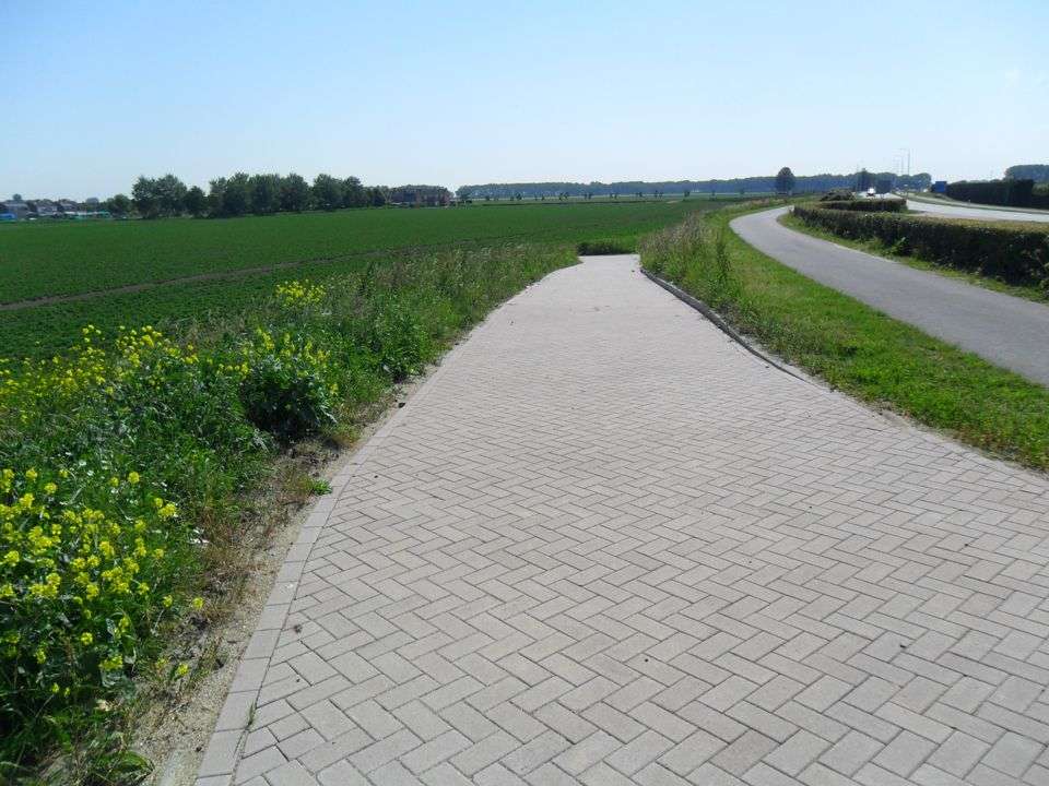 Portfolio afbeelding