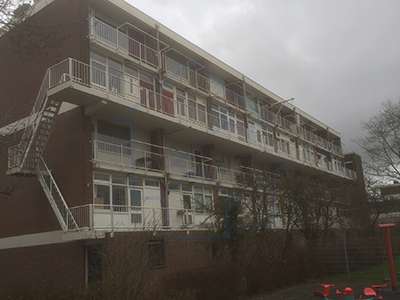 Portfolio afbeelding