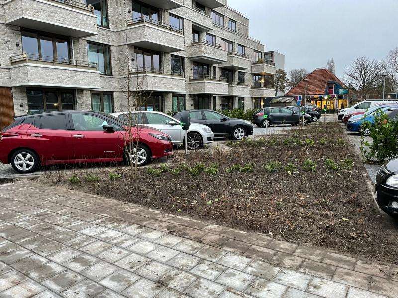 Portfolio afbeelding