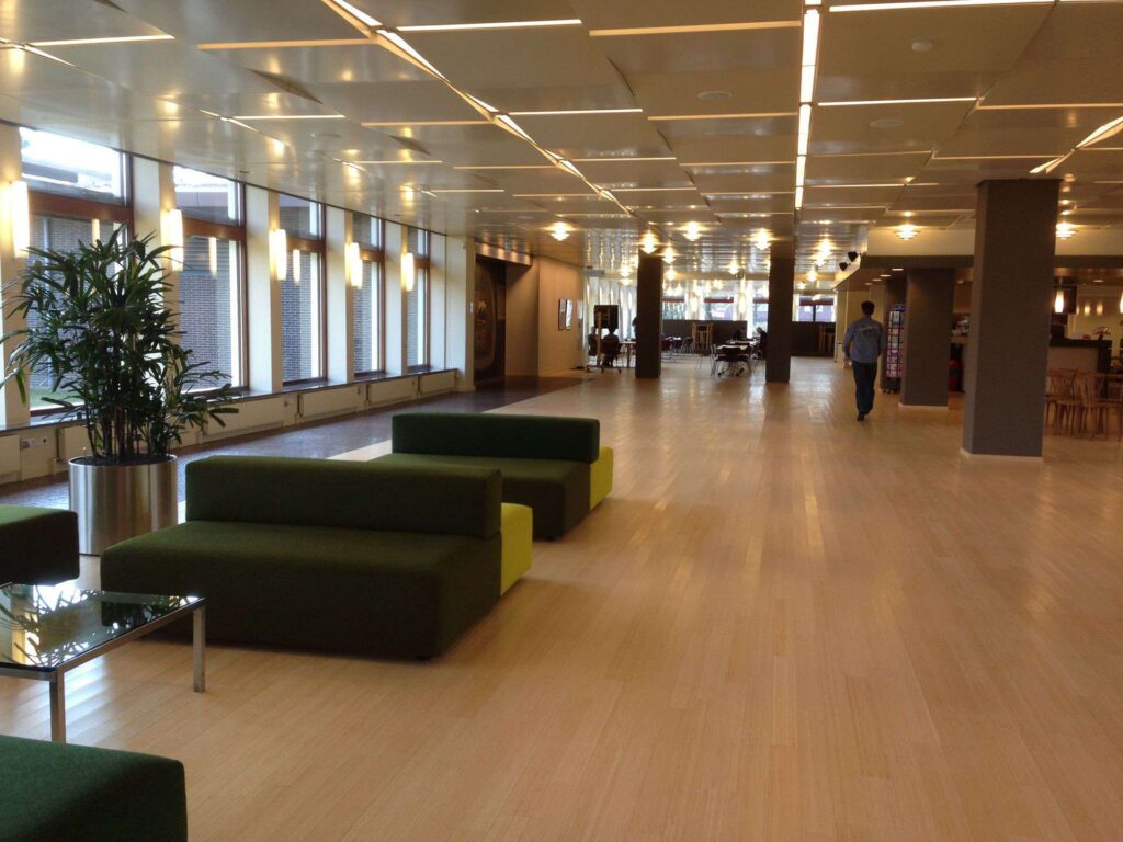 Portfolio afbeelding