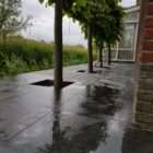 Portfolio afbeelding