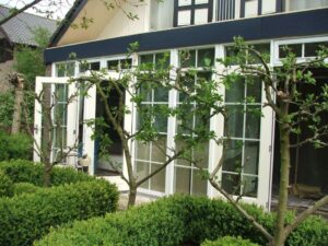 Portfolio afbeelding