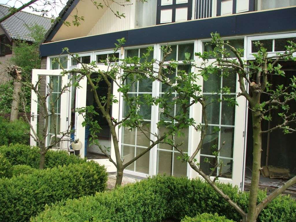 Portfolio afbeelding