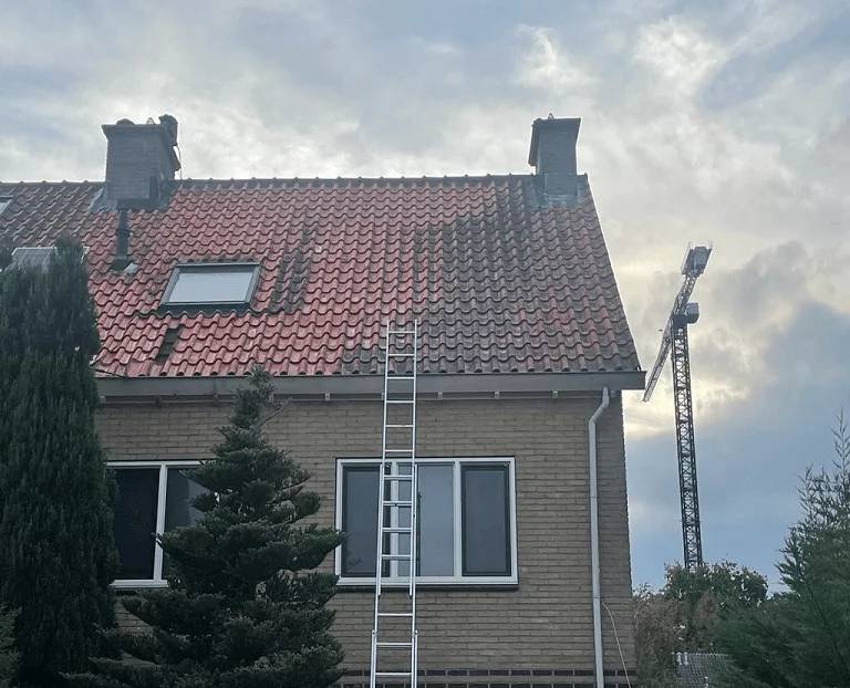 Portfolio afbeelding