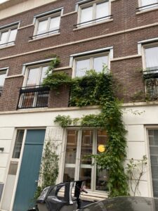 Portfolio afbeelding