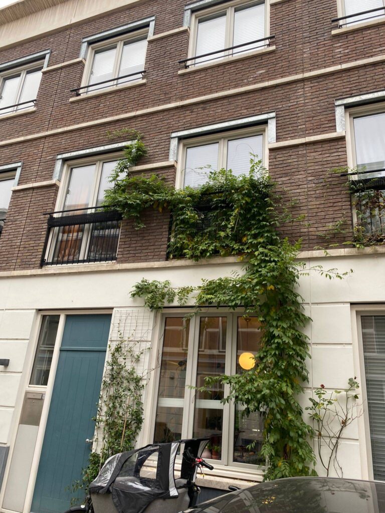 Portfolio afbeelding