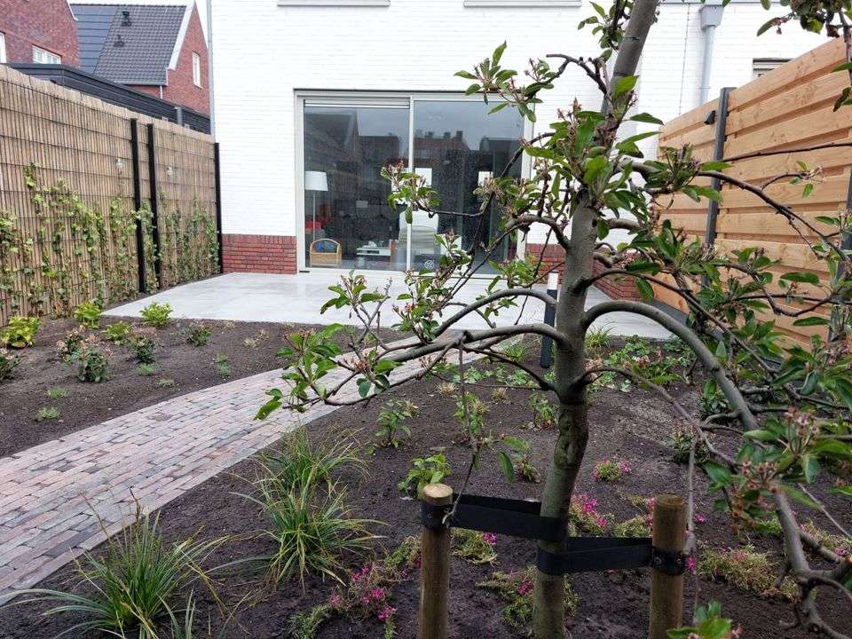 Portfolio afbeelding