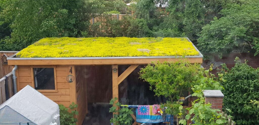 Portfolio afbeelding