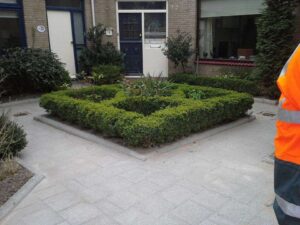 Portfolio afbeelding