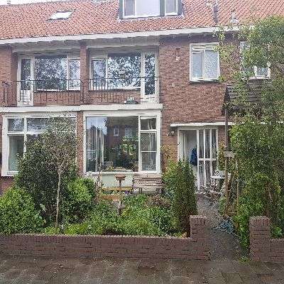 Portfolio afbeelding