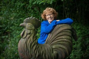 Portfolio afbeelding