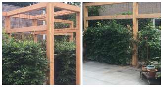 Portfolio afbeelding