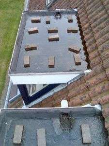 Portfolio afbeelding